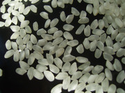 ПРОДАМ РИС  ШЛИФОВАННЫЙ 