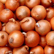  Продам репчатый  лук голландский сорт