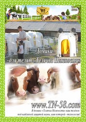 Домики для телят 