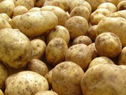 Картофель.Оптом
