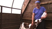 Заменители цельного молока для выпойки с-х молодняка