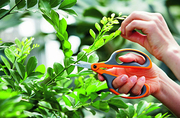Инструменты FISKARS из Финляндии.
