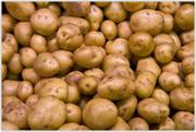 Картофель