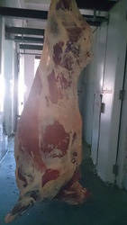 Говядина полутуши мороженные РБ с нового собственого убойного цеха