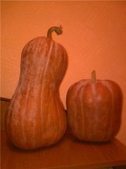 Продам тыкву мантную