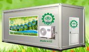  Гидропонное оборудование для выращивания готового,  зеленого корма 