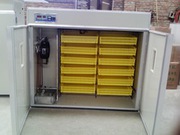 Инкубаторы 2в1 шкаф инкубационо-выводной. Гарантия